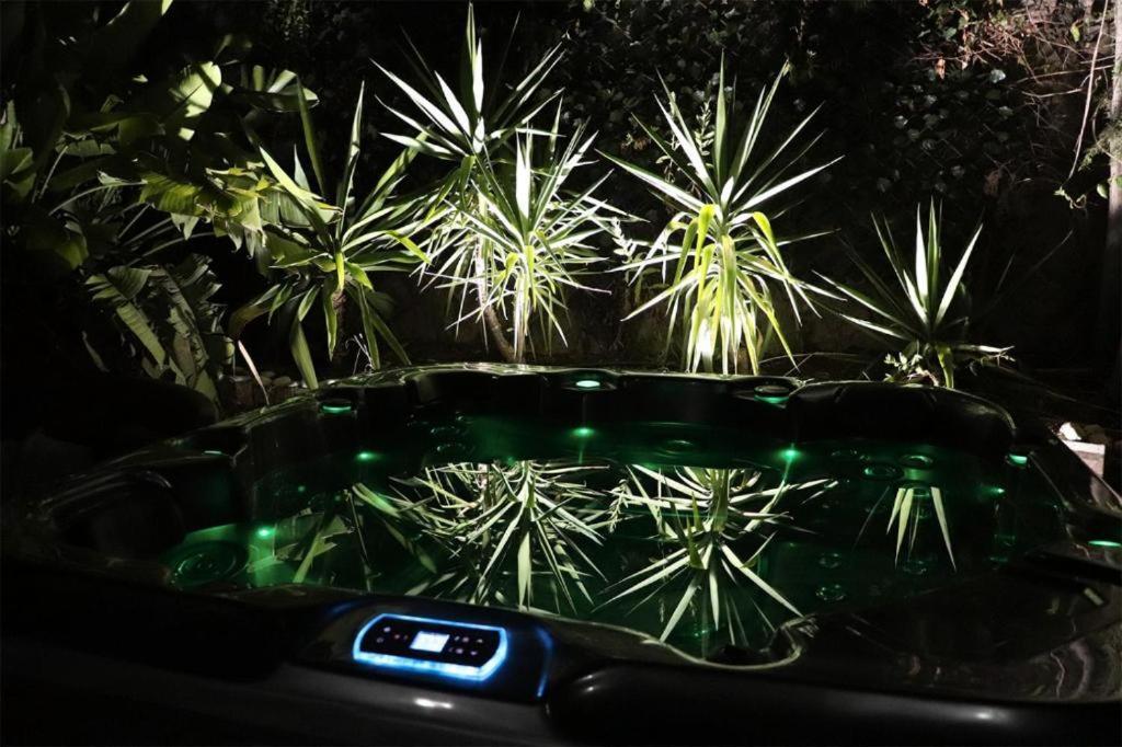 Luxury Jacuzzi Home & Terraces 马拉加 外观 照片