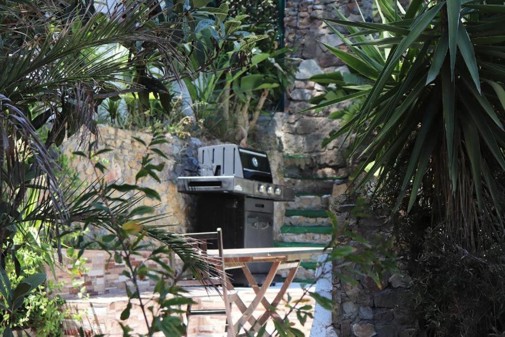Luxury Jacuzzi Home & Terraces 马拉加 外观 照片